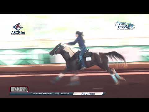 Campeão Três Tambores - Nacional Feminino 2020