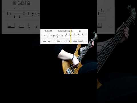 animal spirits 🎸 bassline