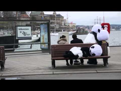 Pandy Shop 2012 - Konseptfilm