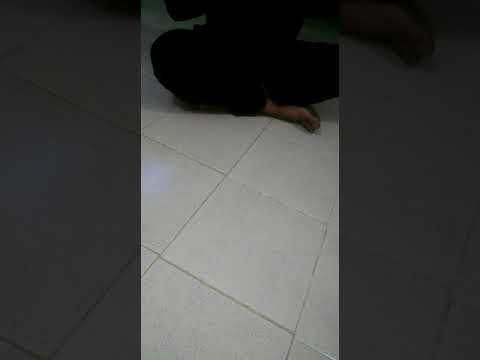 Masair sota marny k bad ata ullah suntay hue