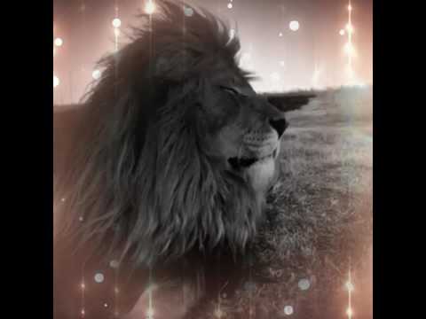 Stadiumx - Howl at the Moon (Alvesio remix)