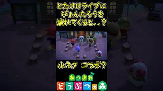 とたけけライブにぴょんたろうを連れてくると、、、？　【あつまれどうぶつの森】 イースターイベント　小ネタ　コラボ　【あつ森】　#Shorts
