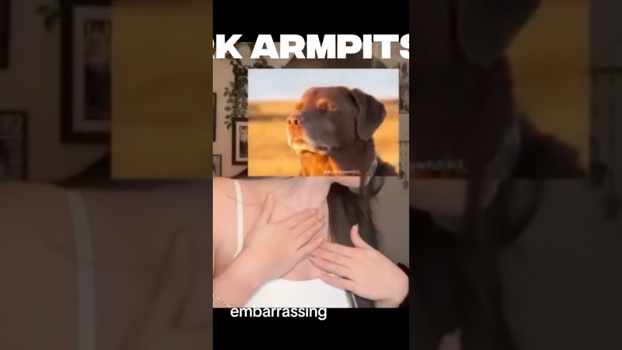 FOR THE DIVAS WITH DARK ARMPITS