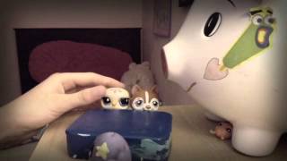 &quot;Interrogation Song&quot; Fan Video