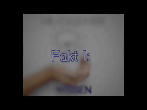 5 Fakten über Elefanten 🐘