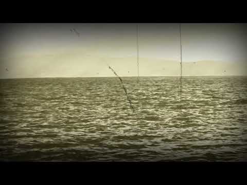 Duet Selimova, Želčeski, Oktet Makedonija, Eleno, kerko, Eleno