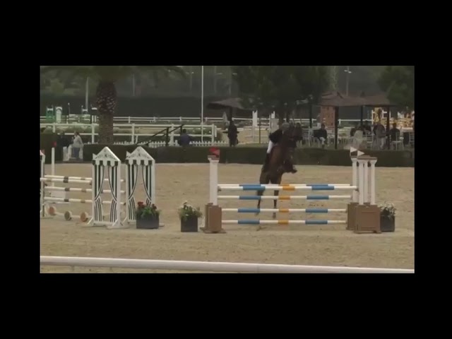 CABALLO 9 A&Ntilde;OS CLASIFICADO EN PRUEBAS 125CM  