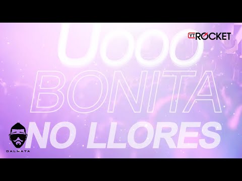Dalmata - Bonita No Llores ( Video Lyric )