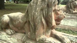 preview picture of video 'Carmen de Areco-misteriosos leones'