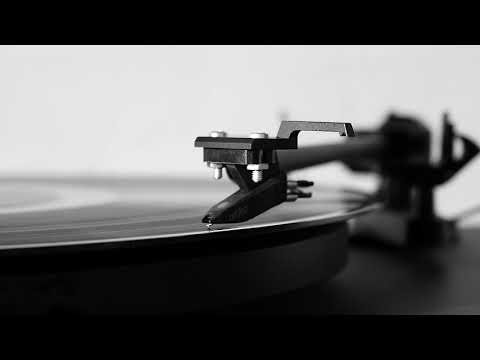 Roots & Bass Revolution - Vol. 2 (Reggae, Dub & Dubstep Mix)