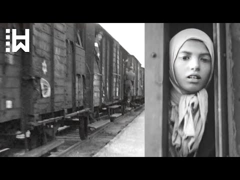 Cruel execution of Settela Steinbach - Dutch Symbol of Children & Romani Holocaust