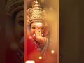 Ganesh Chaturthi Status 4k Ganesh Ganeshchaturthi Ganesha Ganeshji Jaidevjaidev Shorts Short