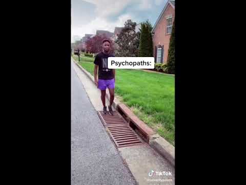 PSYCHO VS NORMAL PEOPLE 😳(TIKTOK COMPILATION)