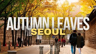 Thumbnail for Best Autumn Foliage Spots in Seoul 2025 — Fall Colors Guide