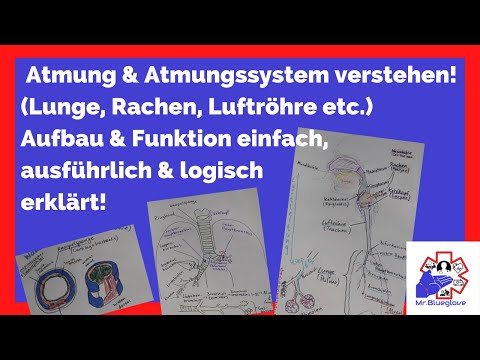 PRÜFUNGSWISSEN 1: Atmung, Lunge, Atemwege & Atmungssystem im Rettungsdienst Pulmo? Larynx? Trachea?