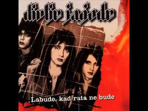 Divlje jagode- Kisa Pada
