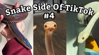 Le côté serpent