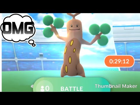 Sudowoodo solo