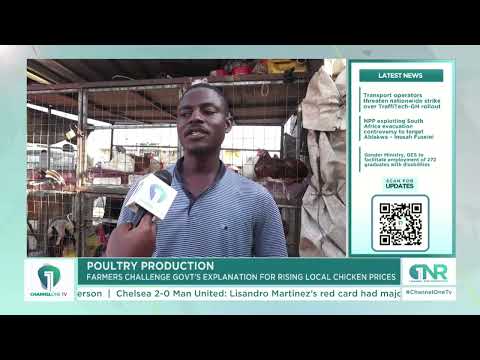 Inadequate Processing Facilities Make Imported Chicken More Attractive – Poultry Farmers