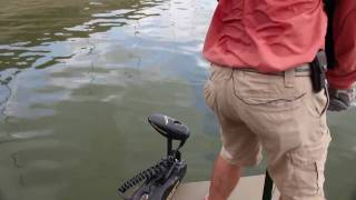 Watch Video - Bighead Carp Bowfishing and Recipe 2010 Pt 1