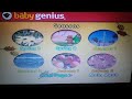 Baby Genius The Four Seasons DVD 2001