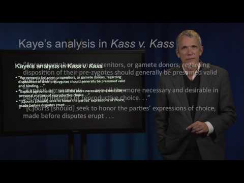 Kass v. Kass: Frozen Embryos and Contract Formation Defenses