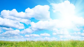 השגות אלוקות | אבני דרך יסודות ועיונים בדרכו ותורתו של רבי נחמן מברסלב זיע"א (הרב ברוך זרובבל) - התמונה מוצגת ישירות מתוך אתר האינטרנט יוטיוב. זכויות היוצרים בתמונה שייכות ליוצרה. קישור קרדיט למקור התוכן נמצא בתוך דף הסרטון