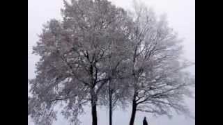 Leonard Cohen   I&#39;m your man