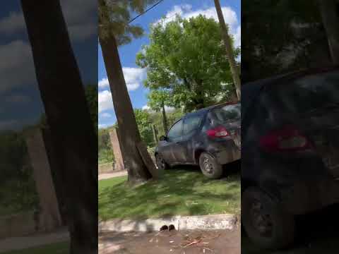 🌾Aurelia Santa Fe 🌾                               ✅Facebook: Enbusqueda de loparanormal