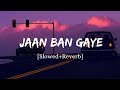 Jaan Ban Gaye Vishal Mishra Song Slowed And Reverb Lofi Mix