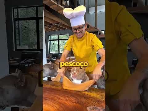 UM CAFÉ EXCLUSIVO PARA CACHORROS! 🐶☕