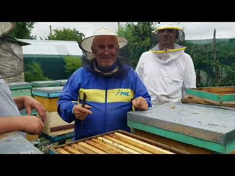 406. Finally we arrived at Nea Vali!!!