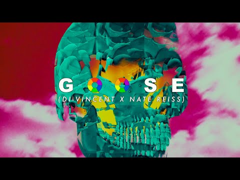 Di-Vincent X Nate Reiss - GOOSE 🦢 [official music video]