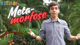 Metamorfose.
