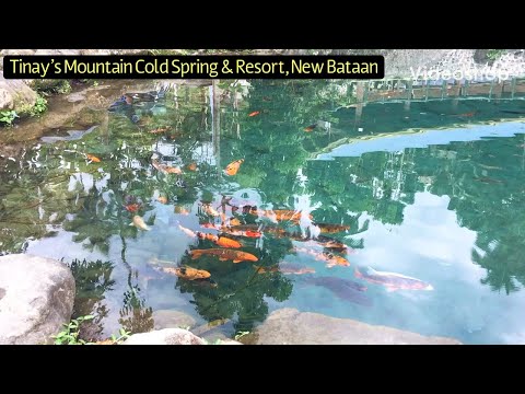 Fish Pond In Tinay’s Mountain Cold Spring & Resort New Bataan
