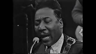 Muddy Waters  - Little Girl  (Studio Live)