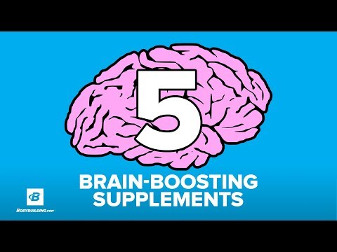 5 Brain-Boosting Nootropic Supplements | Doug Kalman Ph.D.