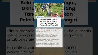 WARGA TANGKAP BENIH IKAN PELESTARIAN di Wonogiri, Pemerintah Sebut Tamu Tak Diundang