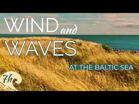7 Hours of Baltic Sea and Wind Sounds from Aspo Blekinge Archipelago | ASMR