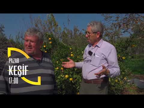 Discovery. Producer's World on Çiftçitv, Sundays at 5:00 PM