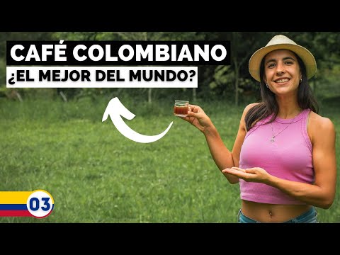 , title : 'Llegamos al EJE CAFETERO ☕️ Así es el proceso del café en #Colombia 🌎Ep.3'