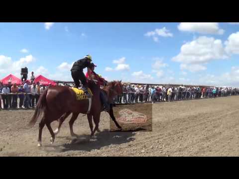 EL GRANIZO VS LA FLICA