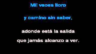 ALEJANDRO LERNER   MIL VECES LLORO (Karaoke)