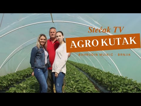 Agro kutak - Intervju sa gosp.Bahrudinom Mujkićem - Stećak TV