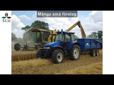 Sveriges livsmedelsindustri