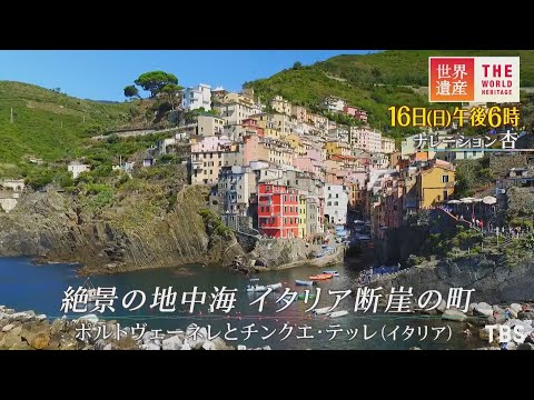 jardins méditerranéens -terrasse-couverte-buis-plantes-fleurs