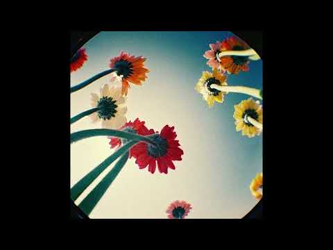 [FREE] Brakence x Aries Type Beat - "EVERY NIGHT" (Anti Pop)