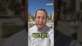 ראש הממשלה נתניהו, עלה להר הבית! (ישיבת הר הבית) - התמונה מוצגת ישירות מתוך אתר האינטרנט יוטיוב. זכויות היוצרים בתמונה שייכות ליוצרה. קישור קרדיט למקור התוכן נמצא בתוך דף הסרטון ראש הממשלה נתניהו, עלה להר הבית! (ישיבת הר הבית) - התמונה מוצגת ישירות מתוך אתר האינטרנט יוטיוב. זכויות היוצרים בתמונה שייכות ליוצרה. קישור קרדיט למקור התוכן נמצא בתוך דף הסרטון