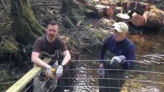 preview picture of video 'Beaver Exclusion Fences on Bowen Island'