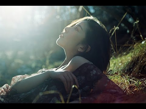 Xa người vàng phai - Tố Mai